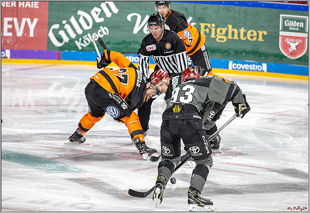 DEL; Koelner Haie - Grizzlys Wolfsburg, 26.12.2018
